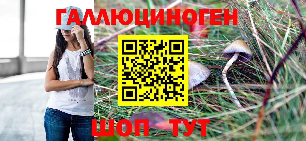 Псилоцибиновые грибы GOLDEN TEACHER  Вход с VPN  Волгоград 