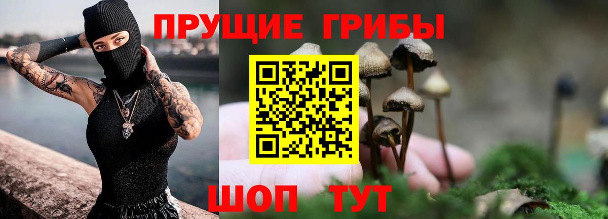 Галлюциногенные грибы Magic Shrooms Волгоград